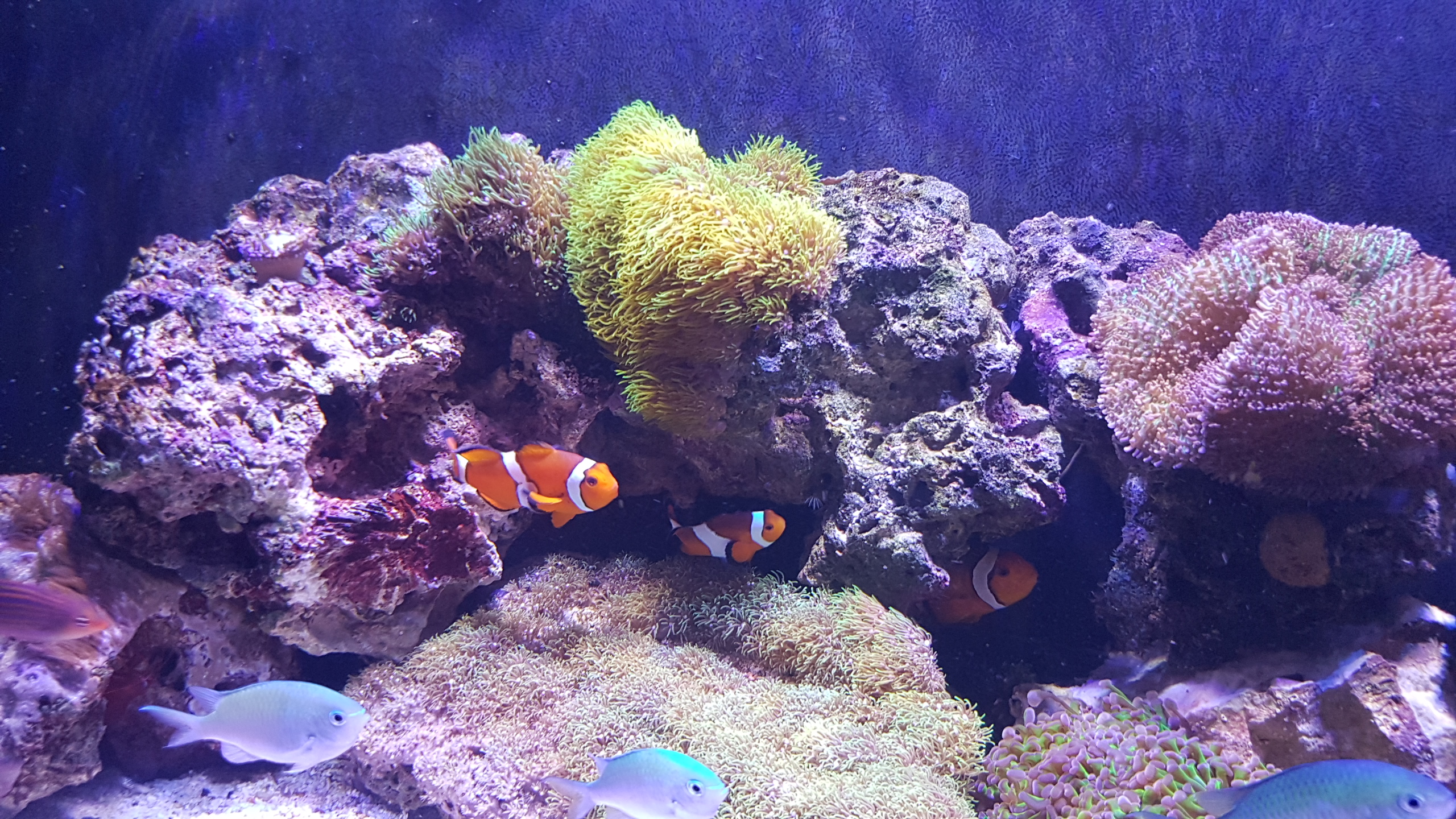 20171124_145405.jpg