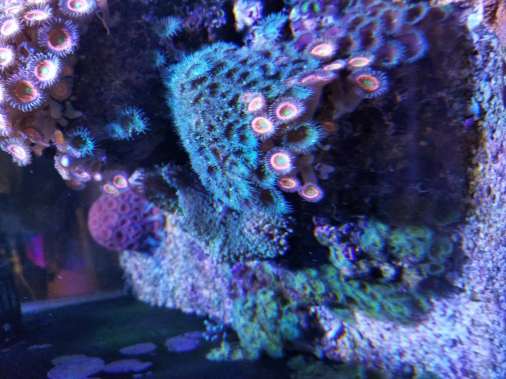 20180809_160800.jpeg