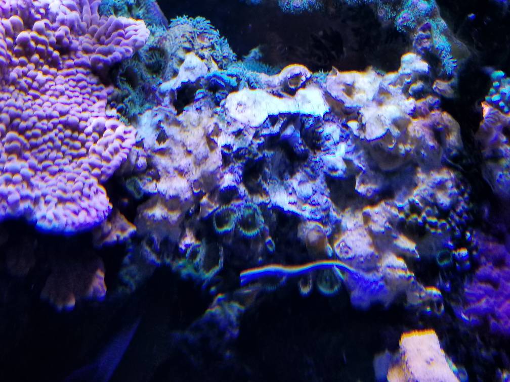 20180809_160815.jpeg
