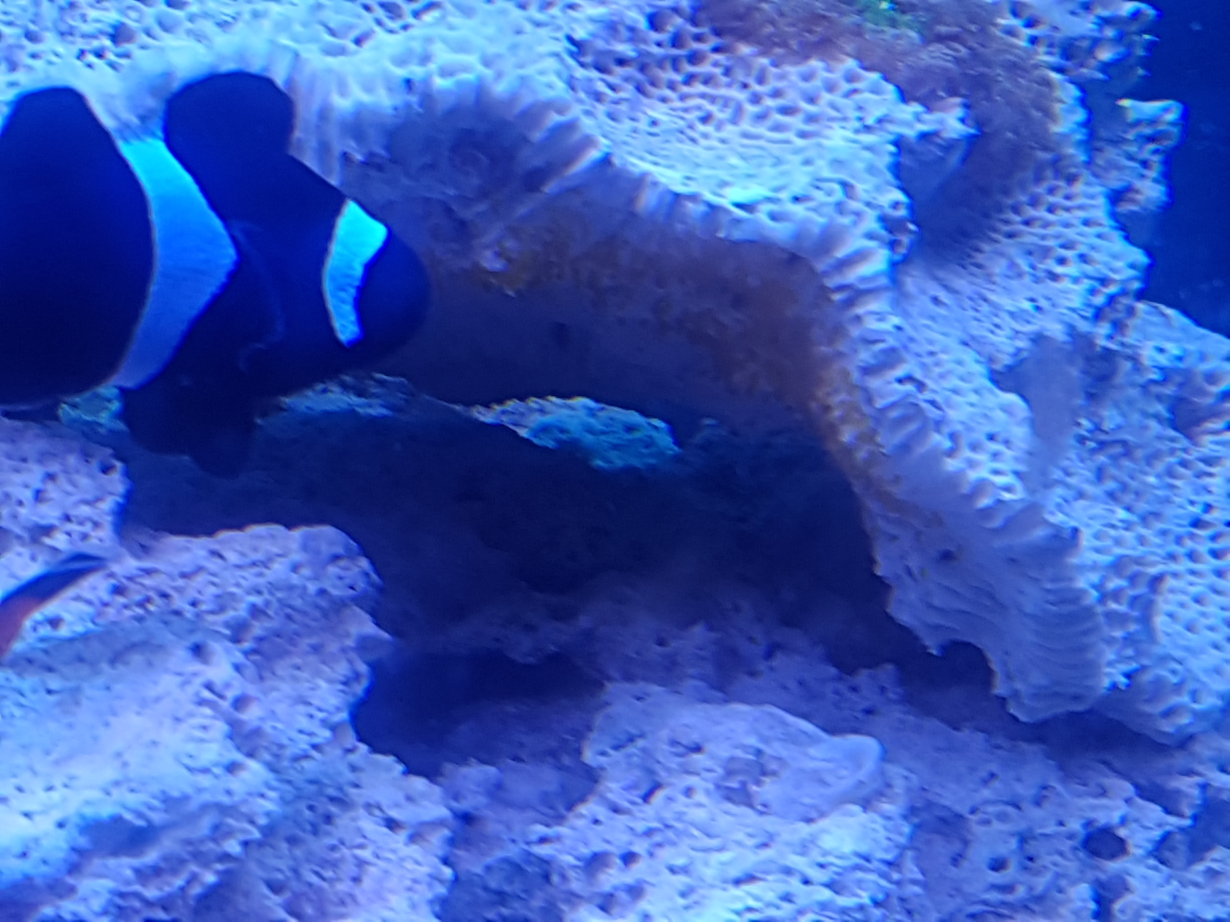 20190320_220630.jpg
