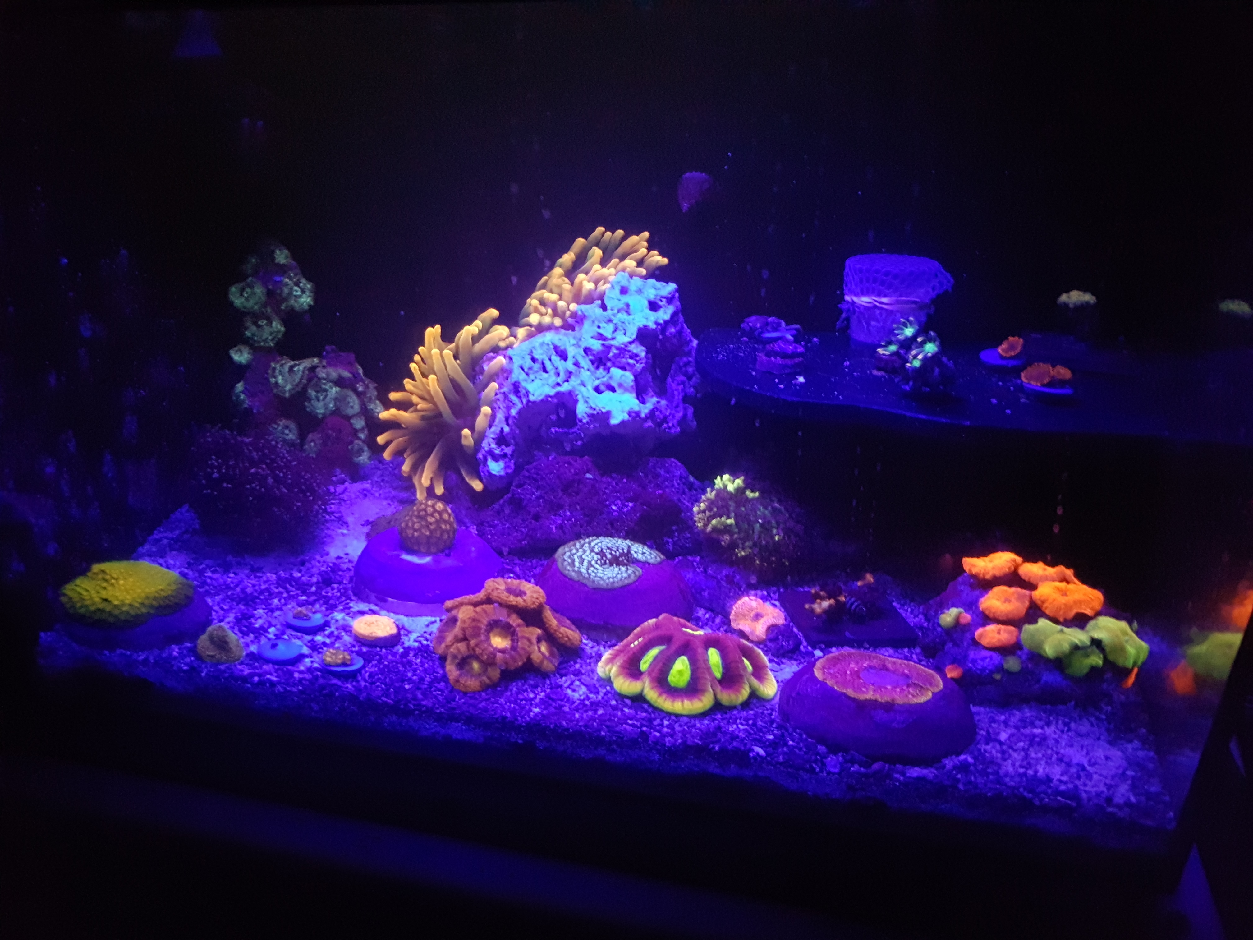 20191124_145627.jpg