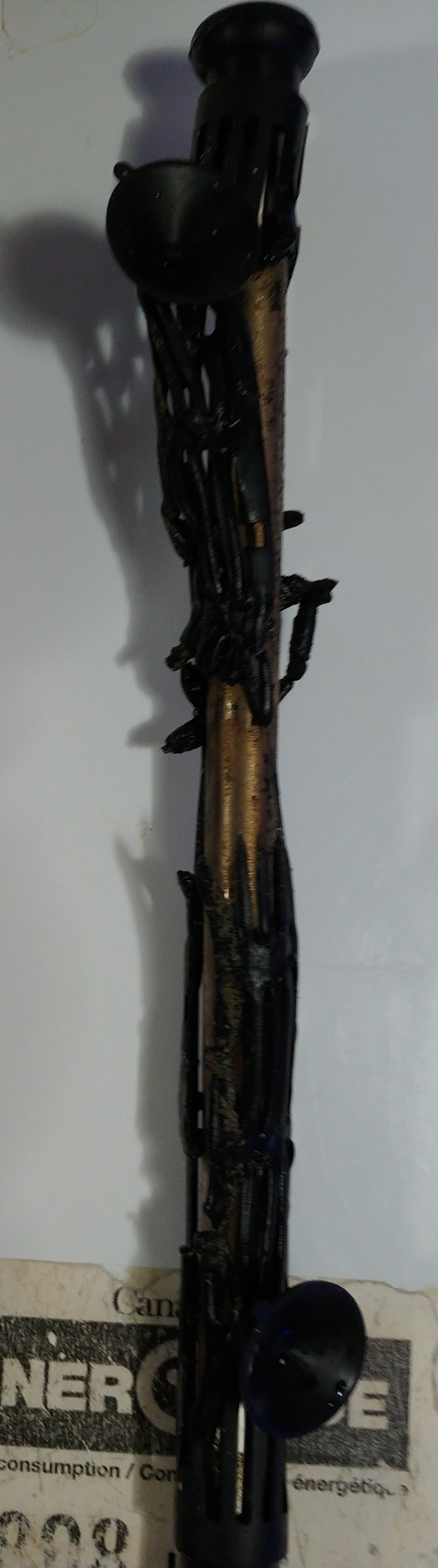 20200611_132855.jpg
