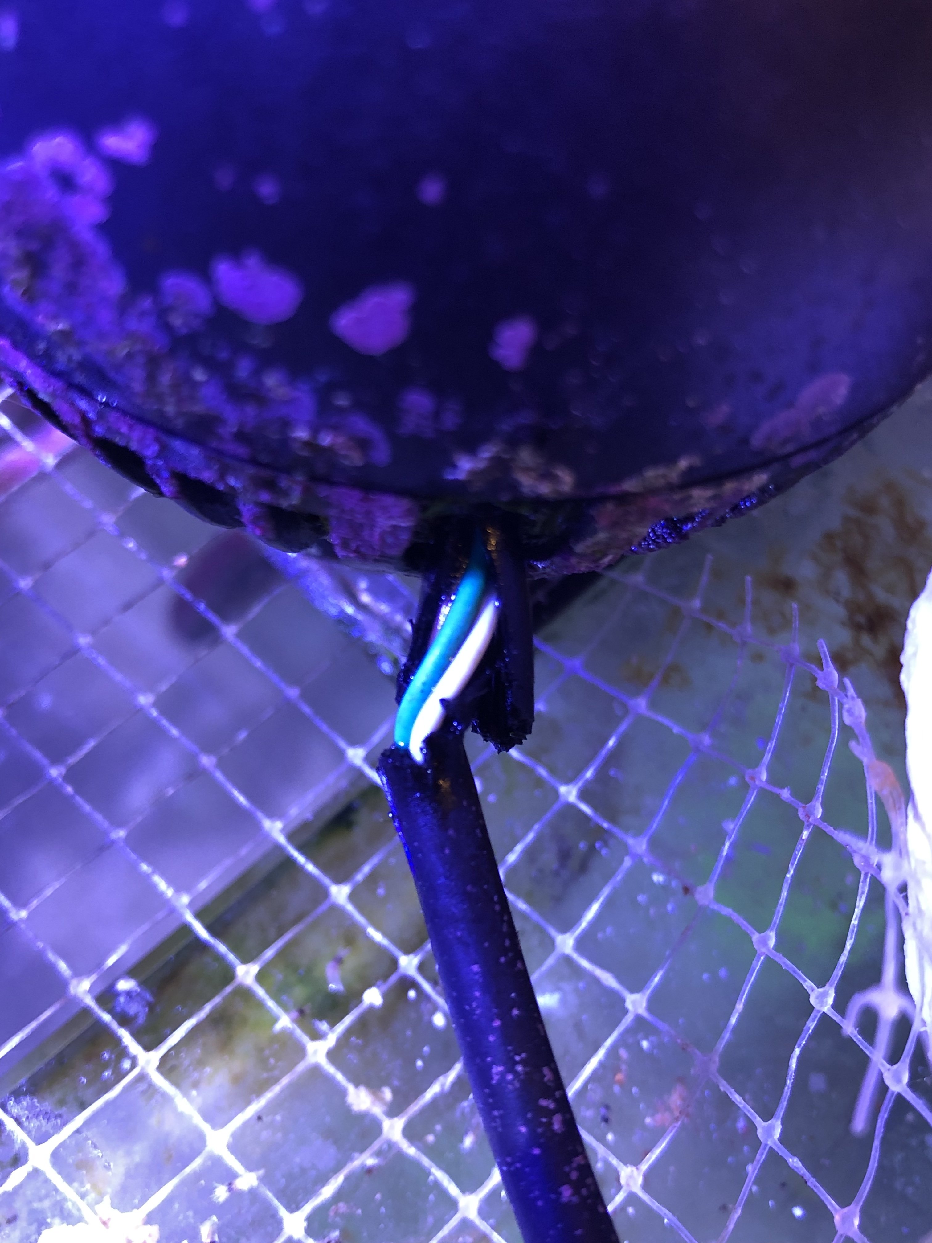 7D0EE3F5-9203-4E90-9C3A-52409C040B6D.jpeg