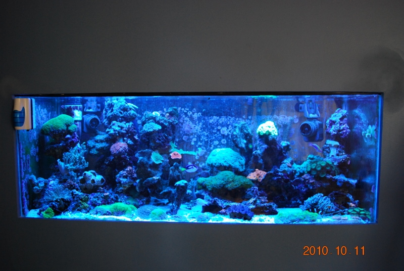 aqua 017 (800x536).jpg