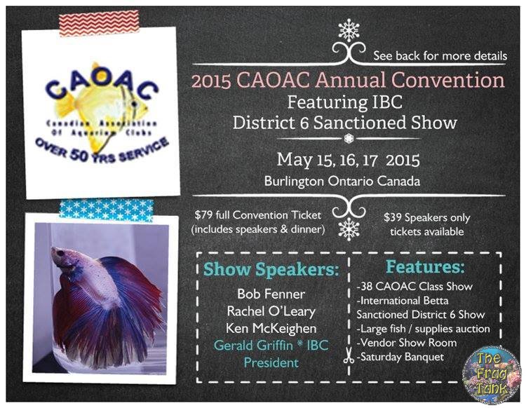 CAOAC convention 2015.jpg