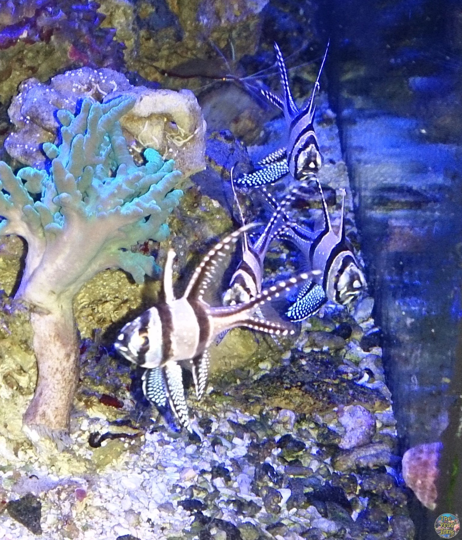 DSC_0320.JPG