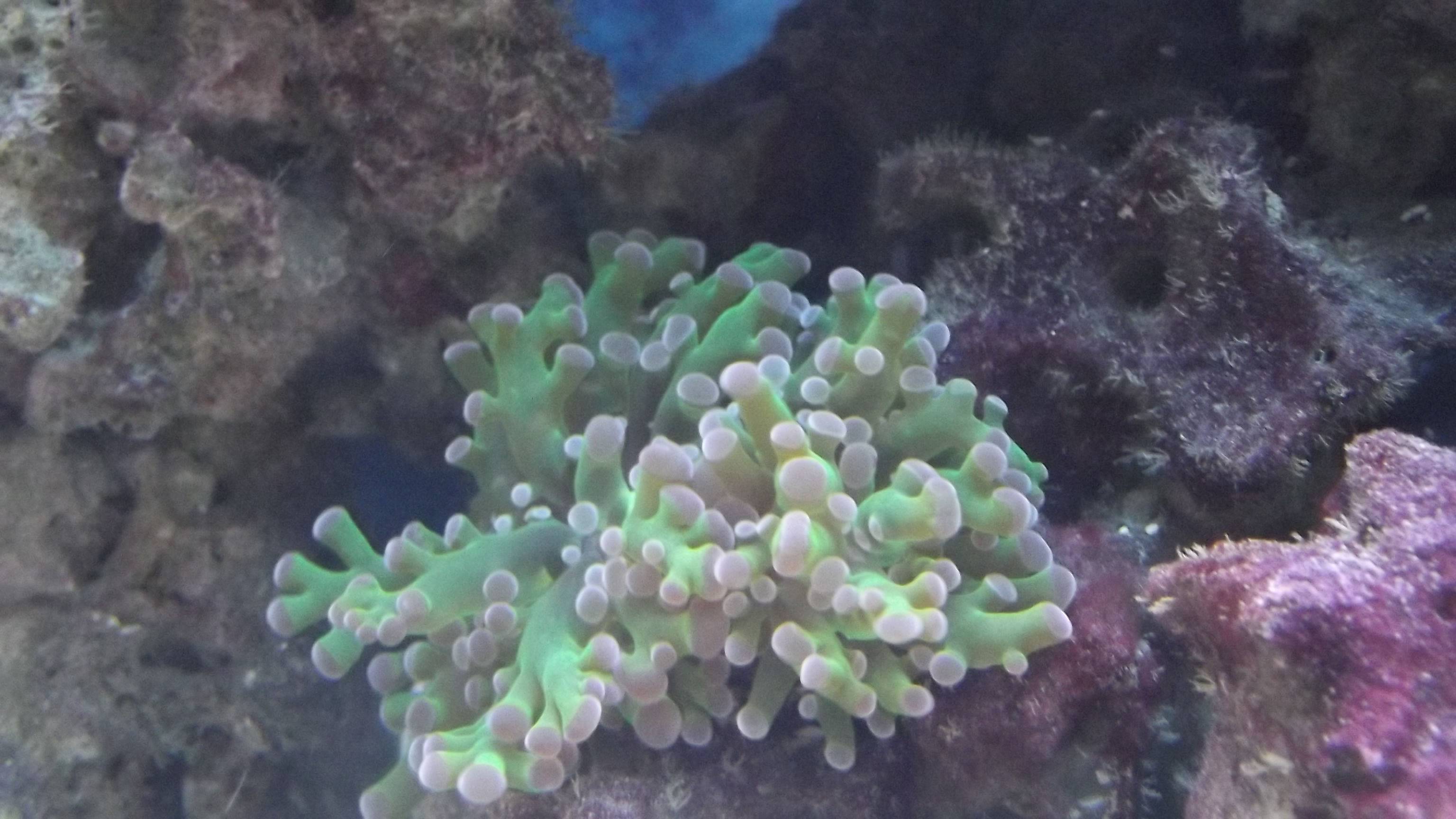 DSCF1877.JPG