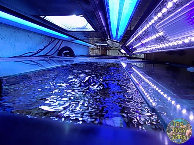 DSCN2409.JPG