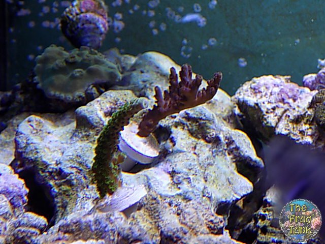 DSCN2450.JPG