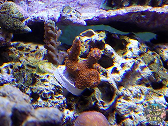 DSCN2452.JPG