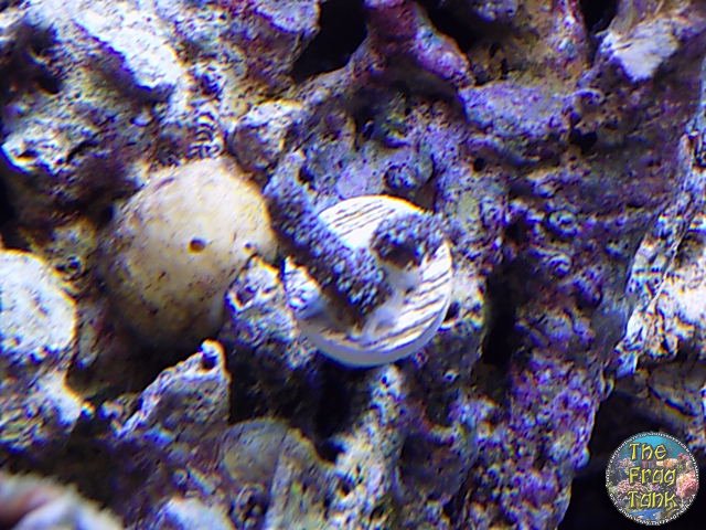 DSCN2453.JPG