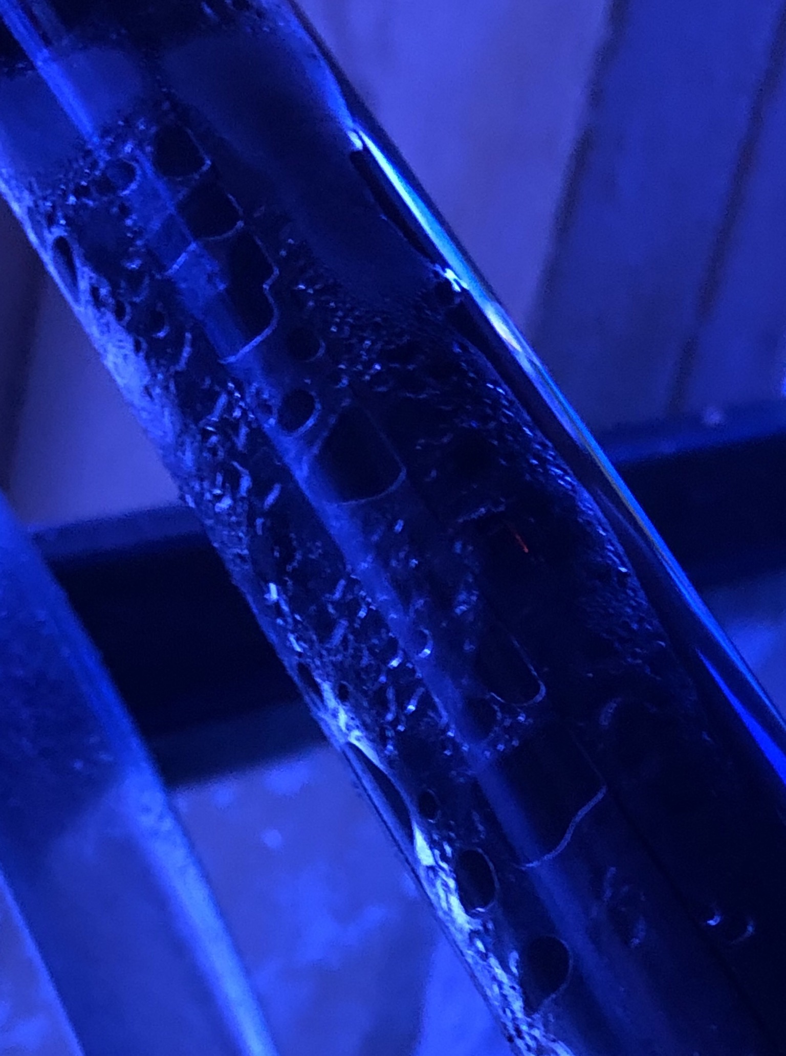 F523271D-D426-4786-A763-2842F2A1F687.jpeg