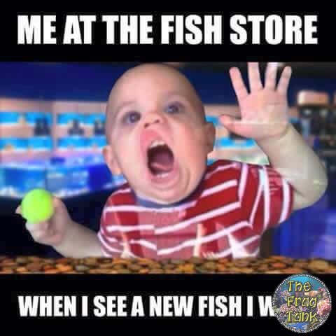FB_IMG_1440505923253.jpg