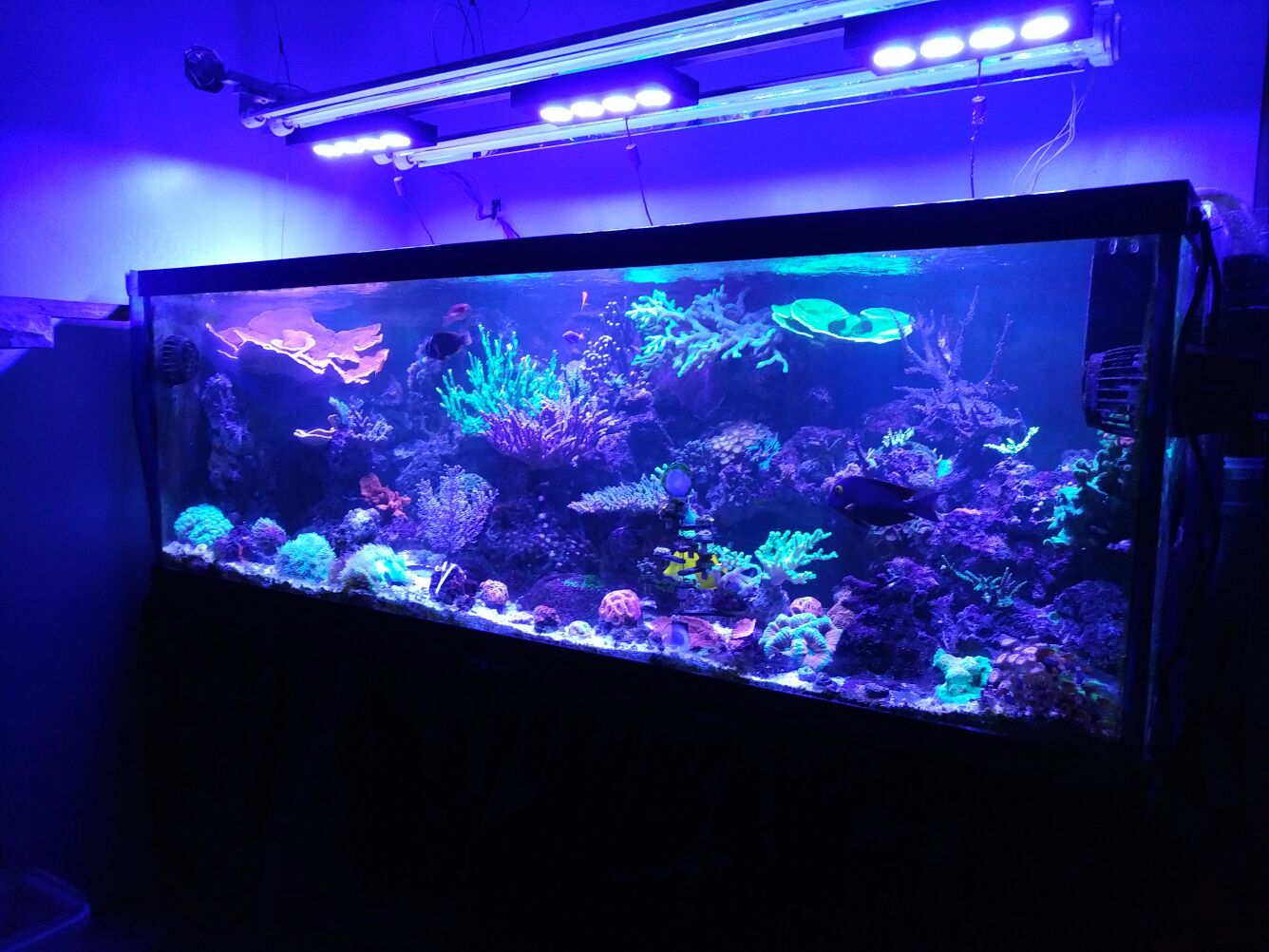 IMG-20161124-WA003.jpg