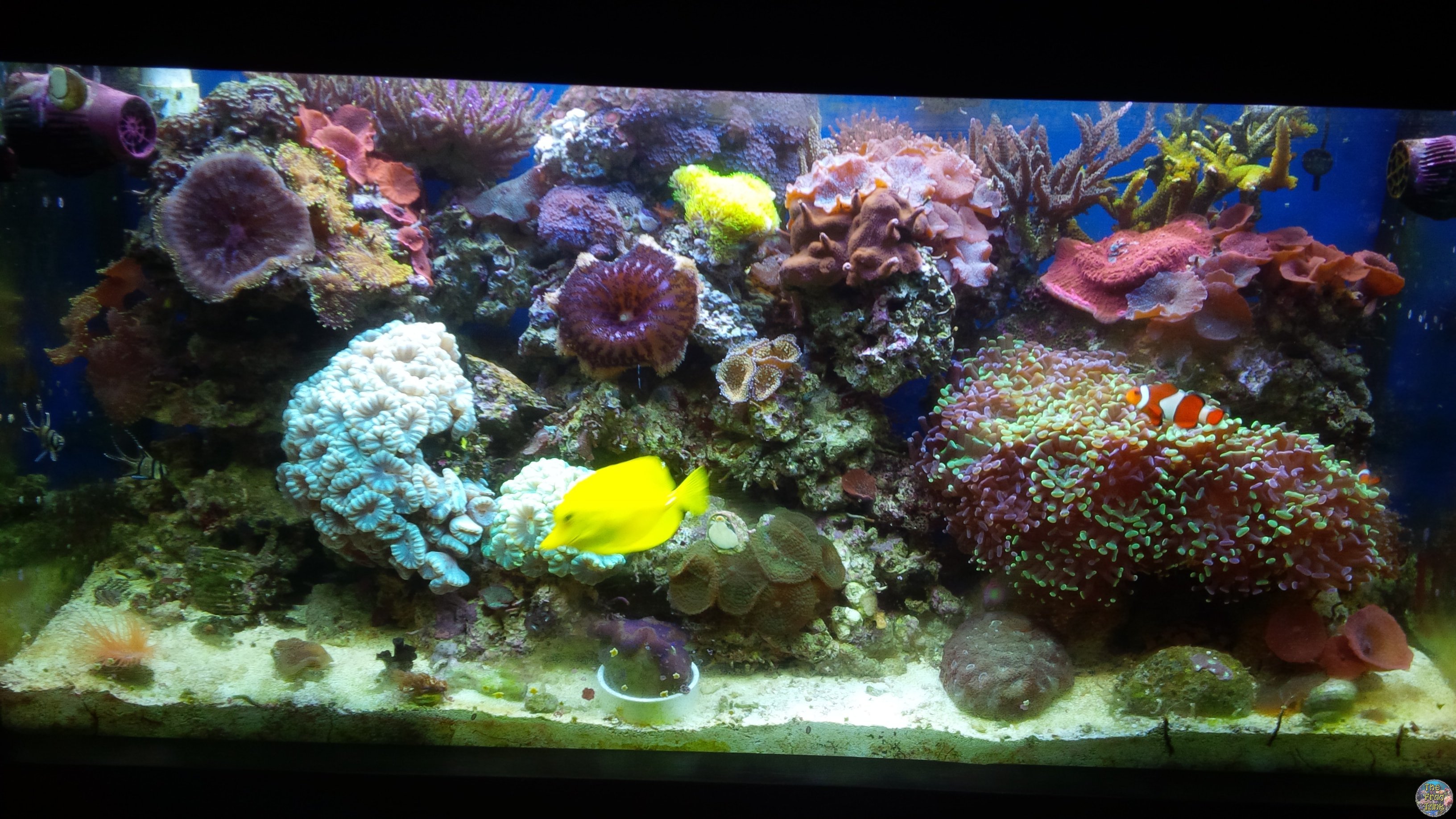 IMG_20141103_174513.jpg