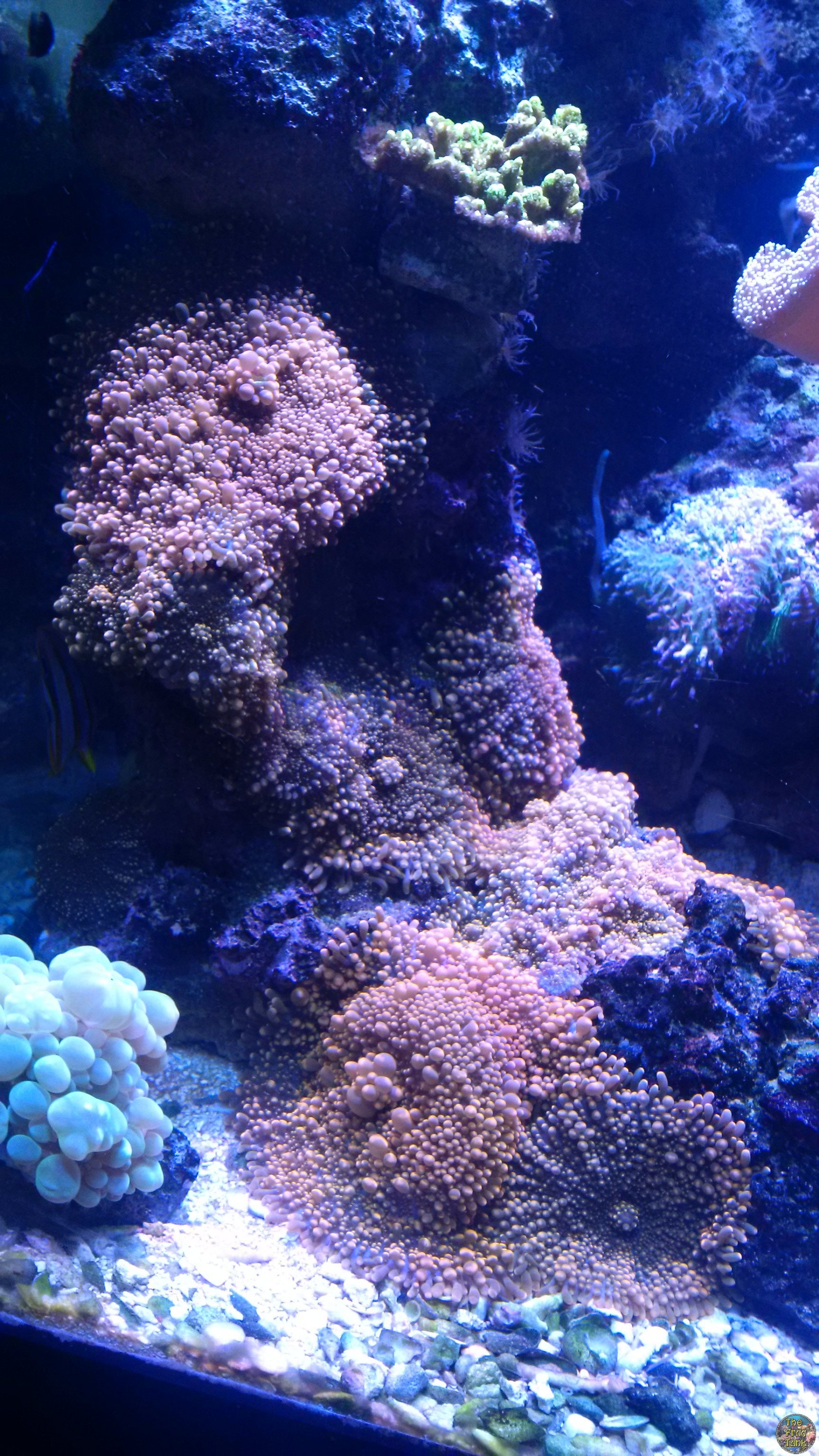 IMG_20150213_161718.jpg