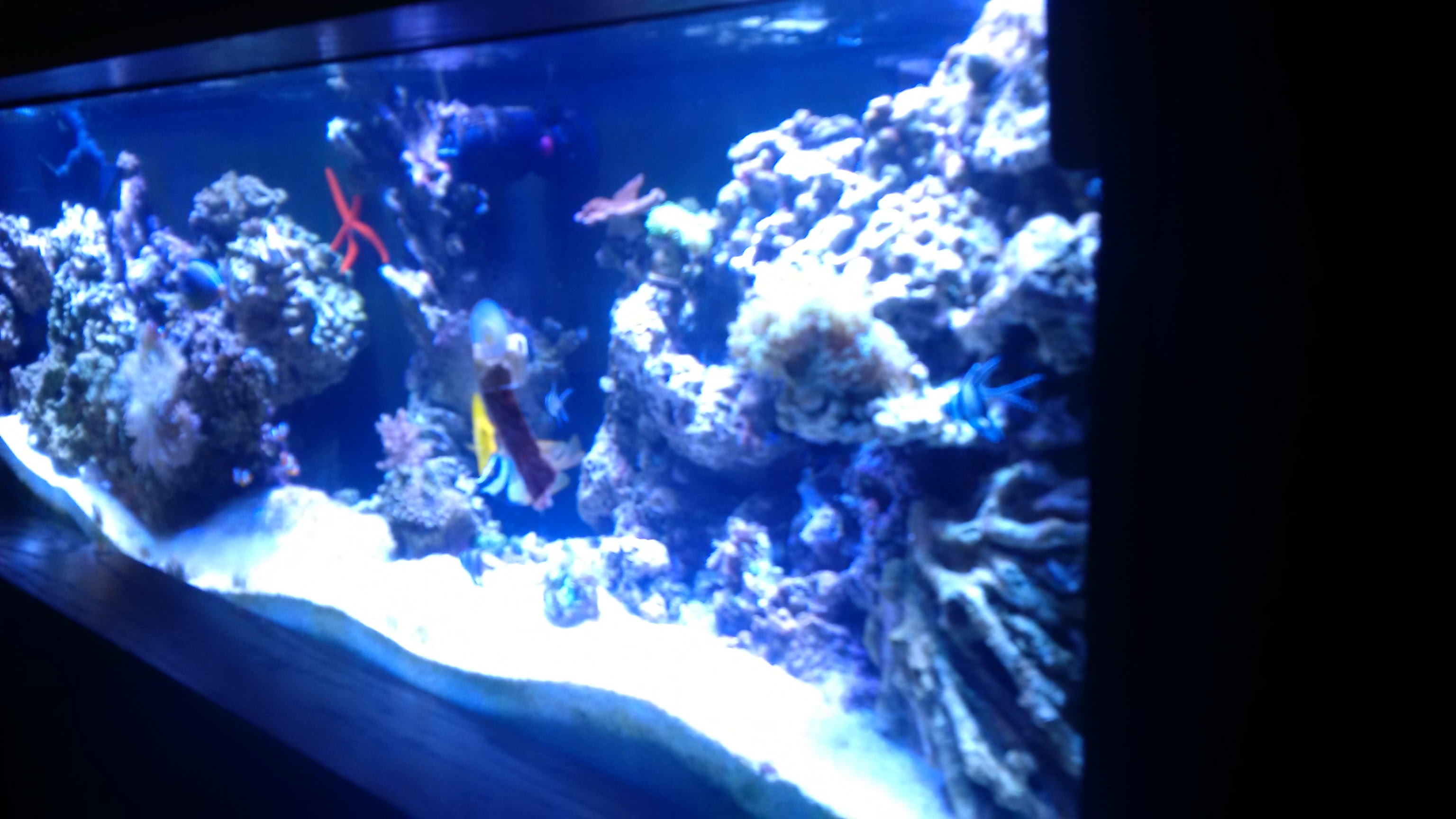 IMG_20150304_191840.jpg