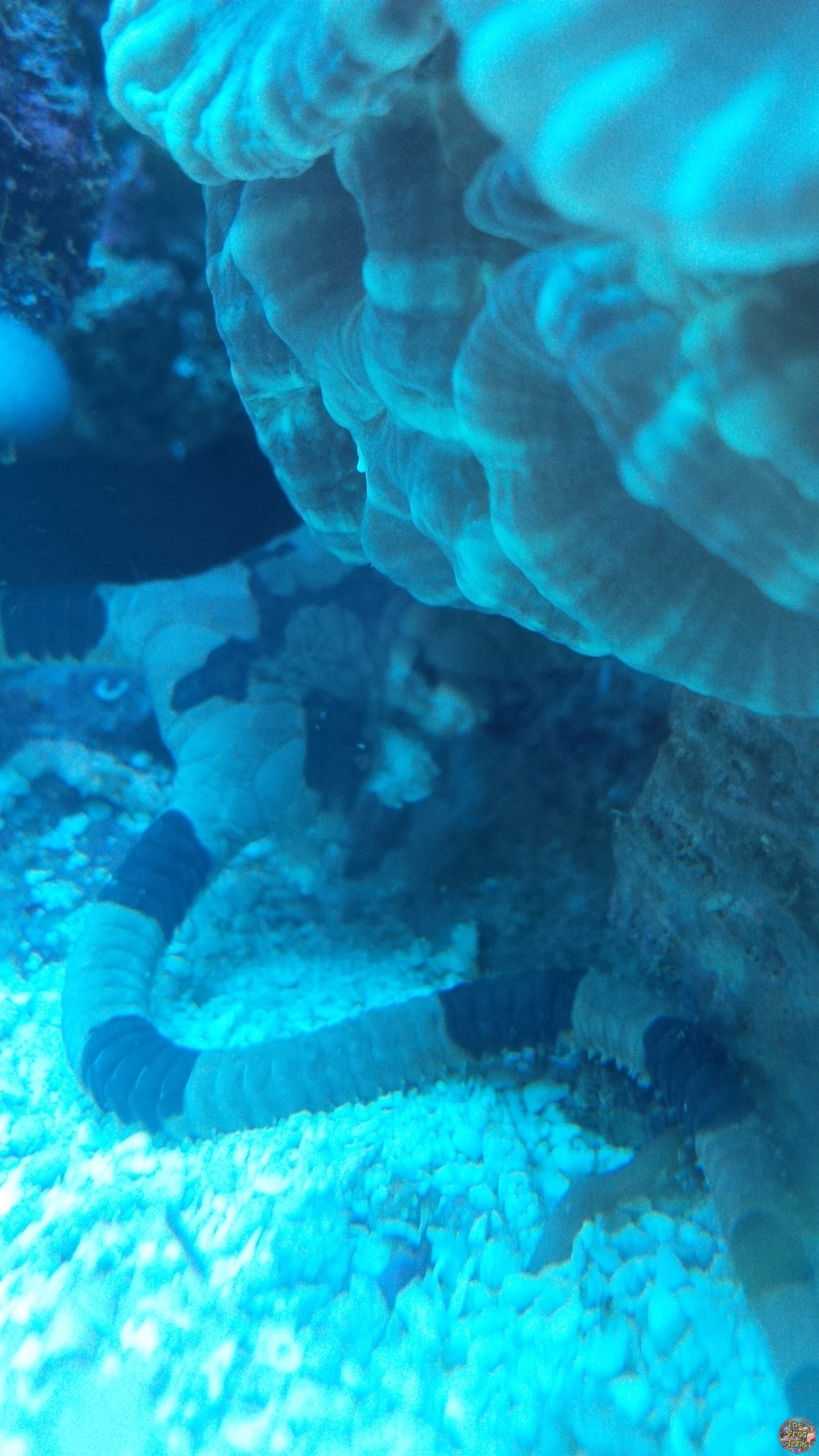 IMG_20150514_201239.jpg
