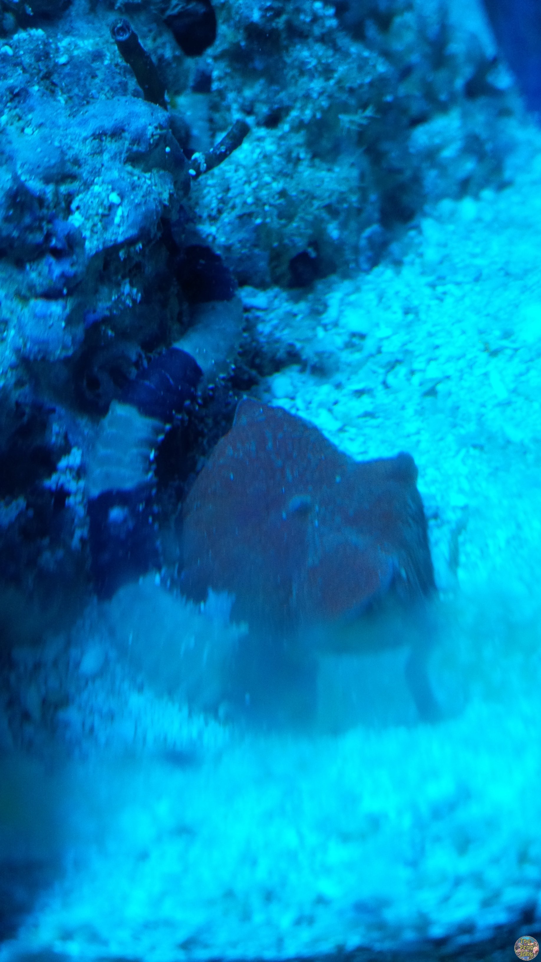 IMG_20150514_201253.jpg