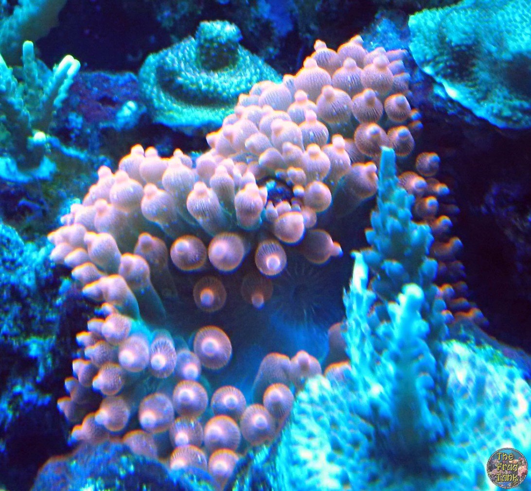 IMG_20150829_194507_edit.jpg