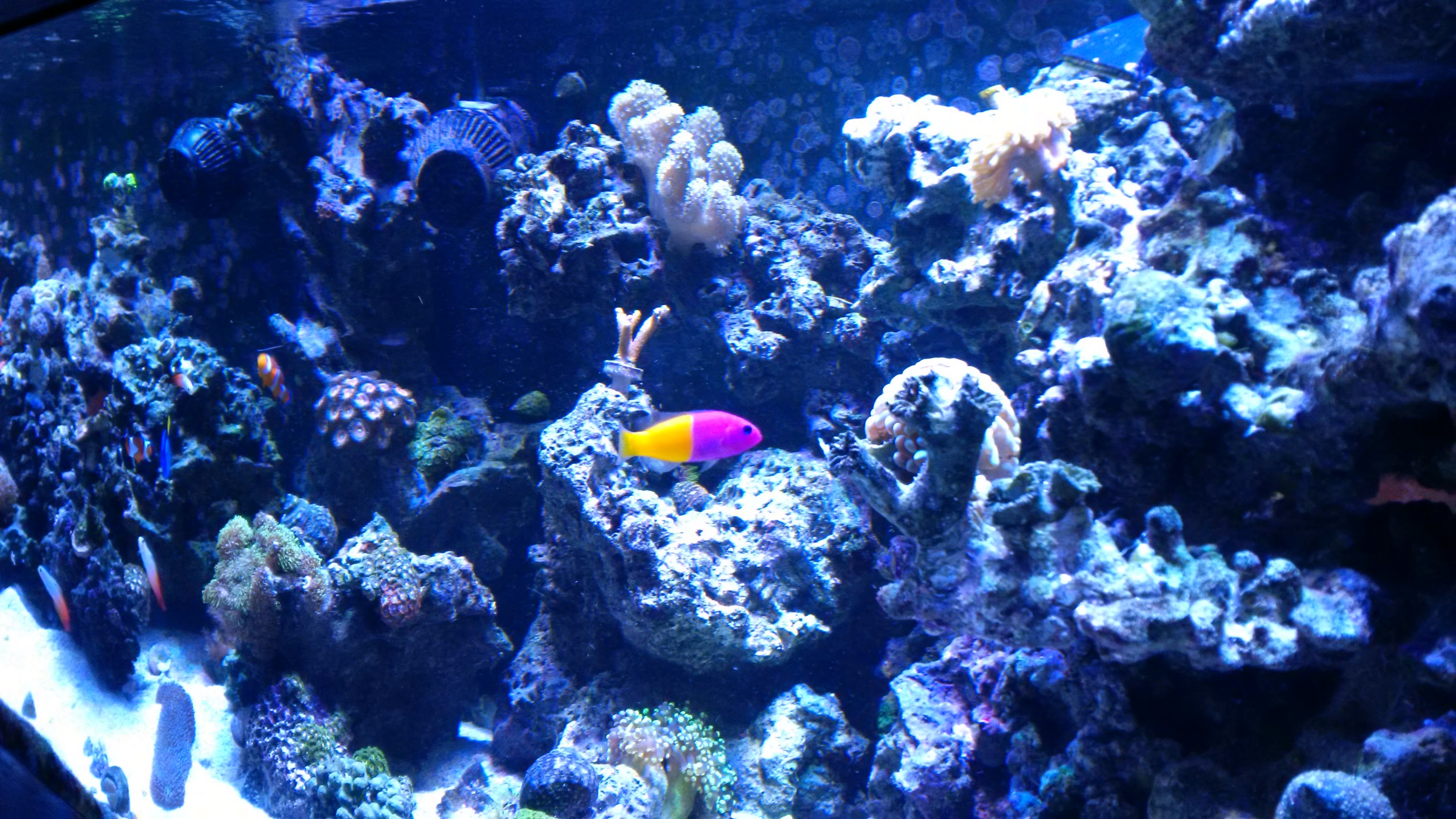 IMG_20150906_203407.jpg