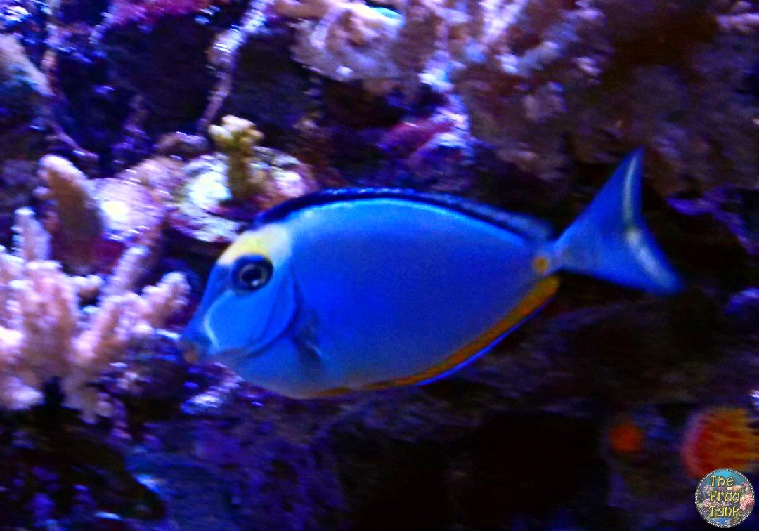IMG_20151122_213247_edit.jpg