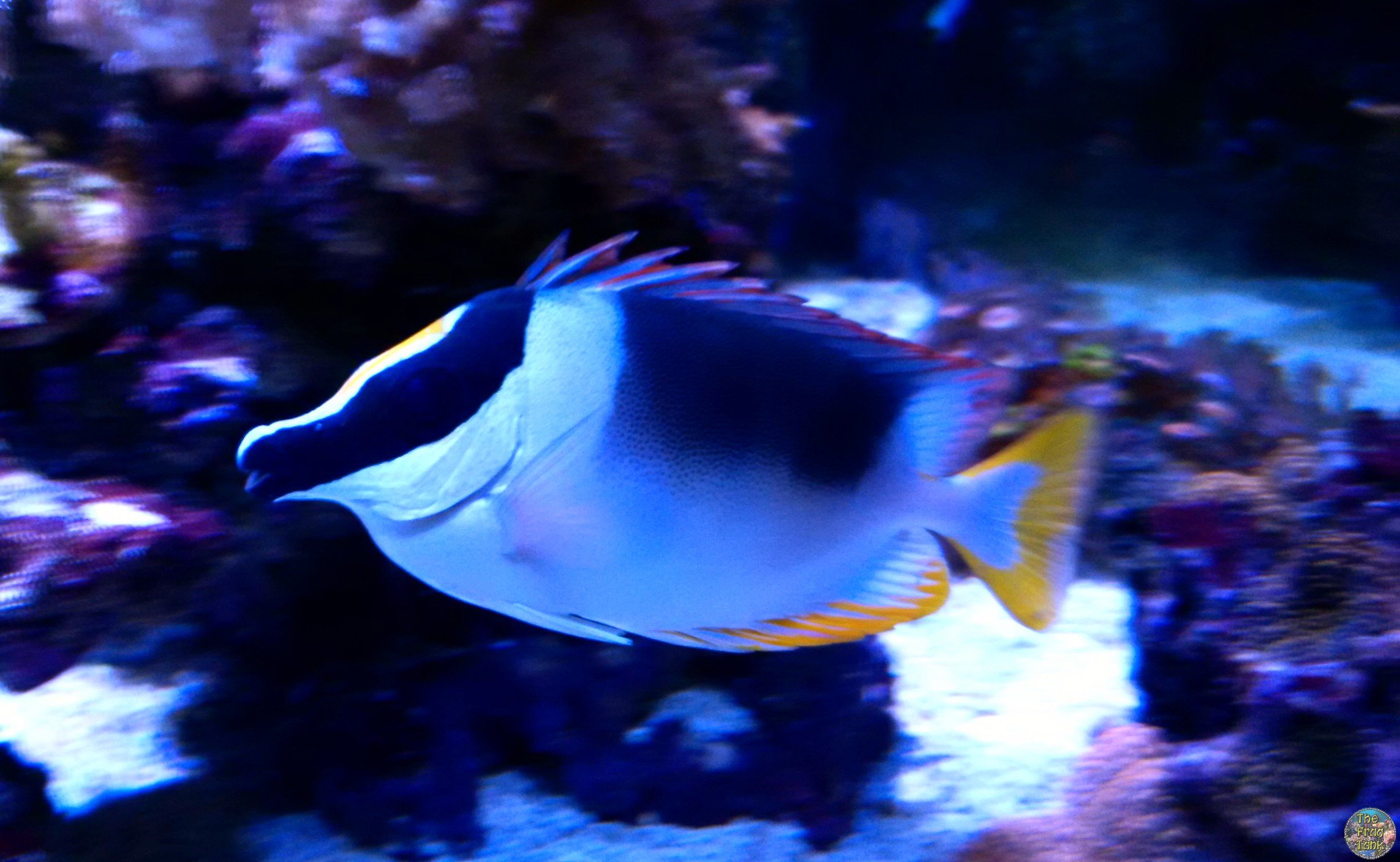 IMG_20151122_215323_edit.jpg