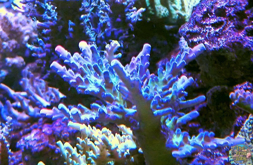 IMG_20160113_203602_edit.jpg