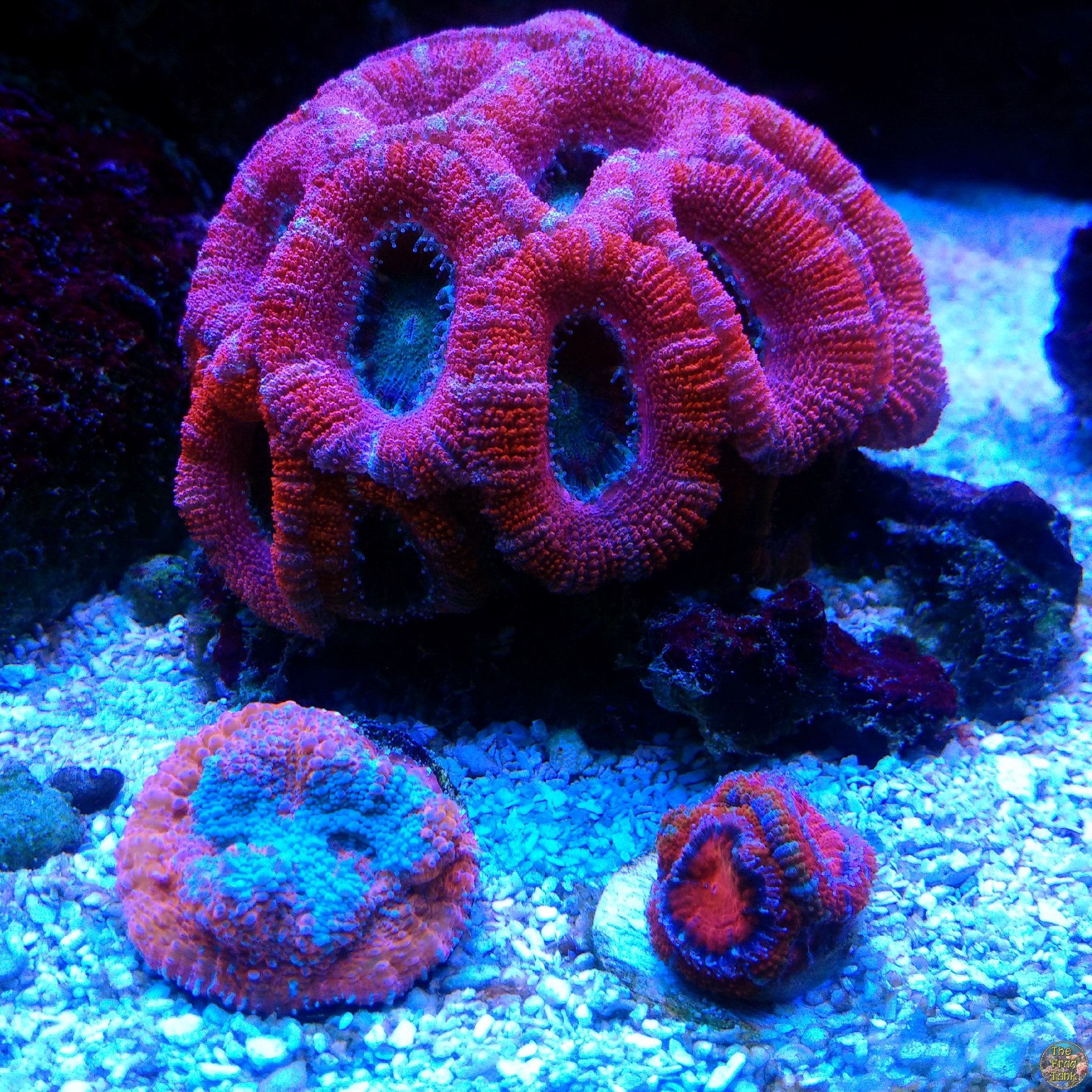 IMG_20160605_143646_edit.jpg