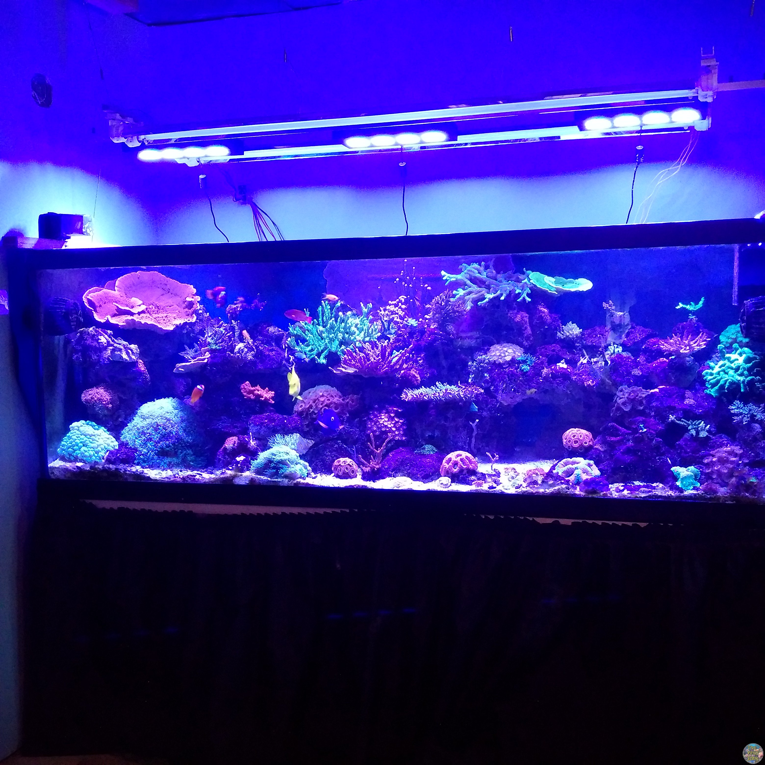 IMG_20160630_124533.jpg