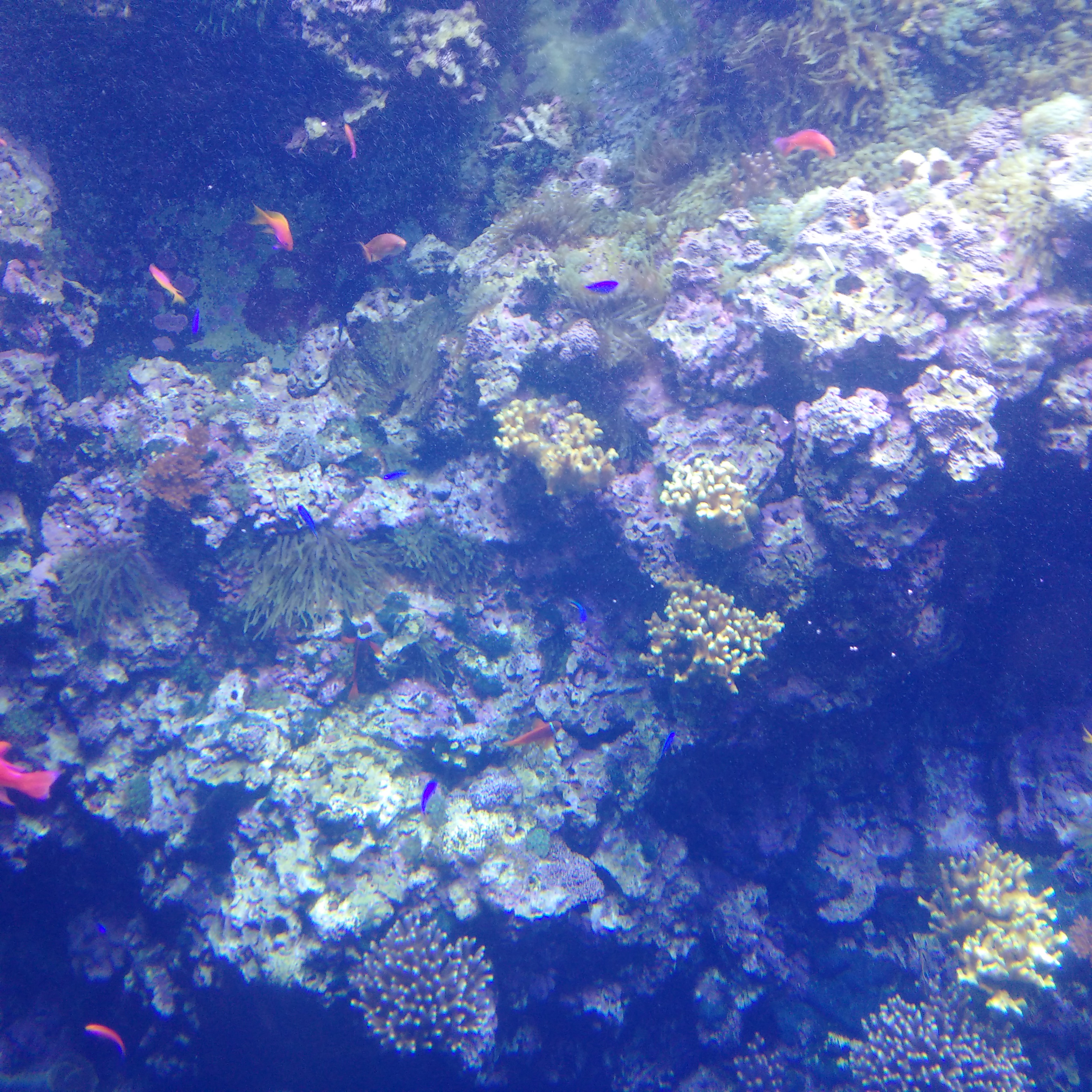 IMG_20160930_122902.jpg