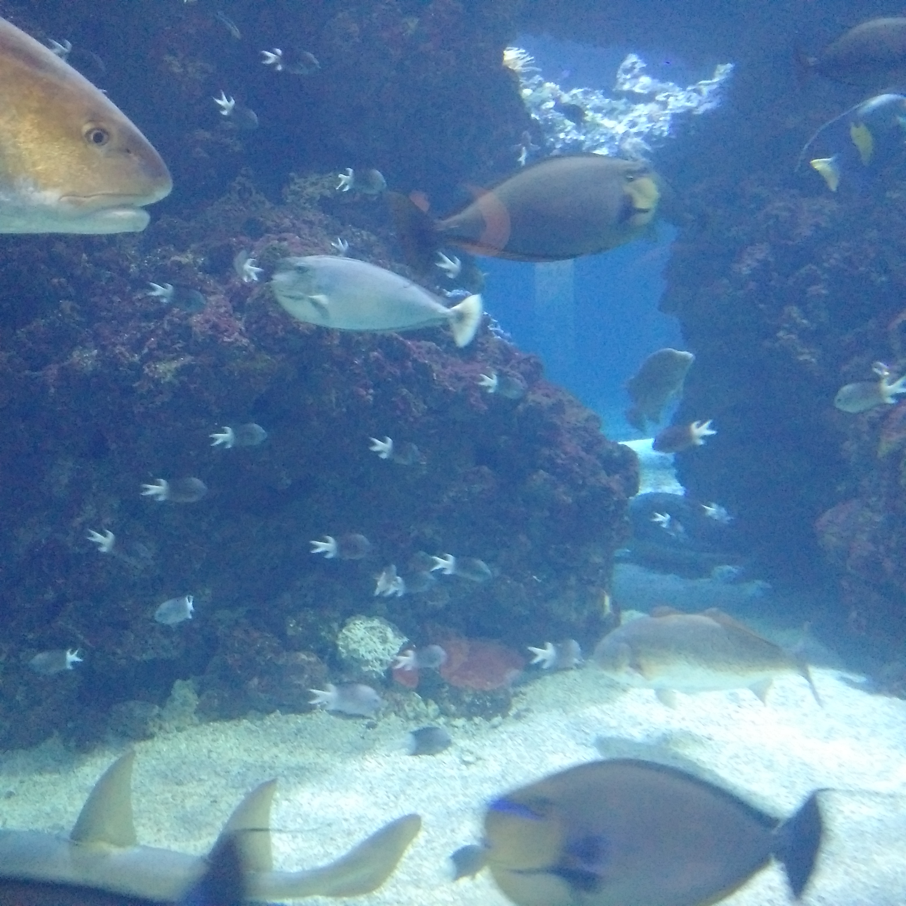 IMG_20160930_123330.jpg