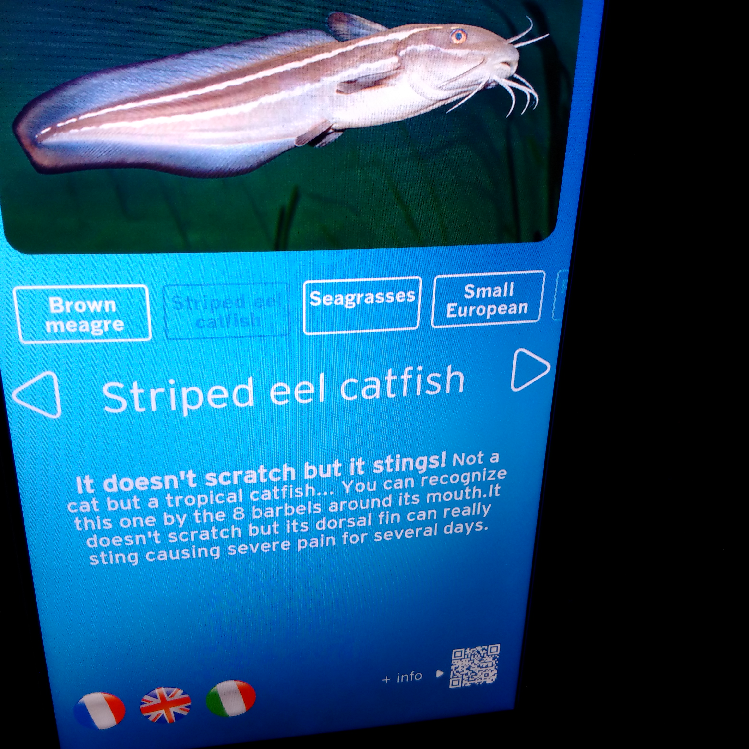 IMG_20160930_124333.jpg