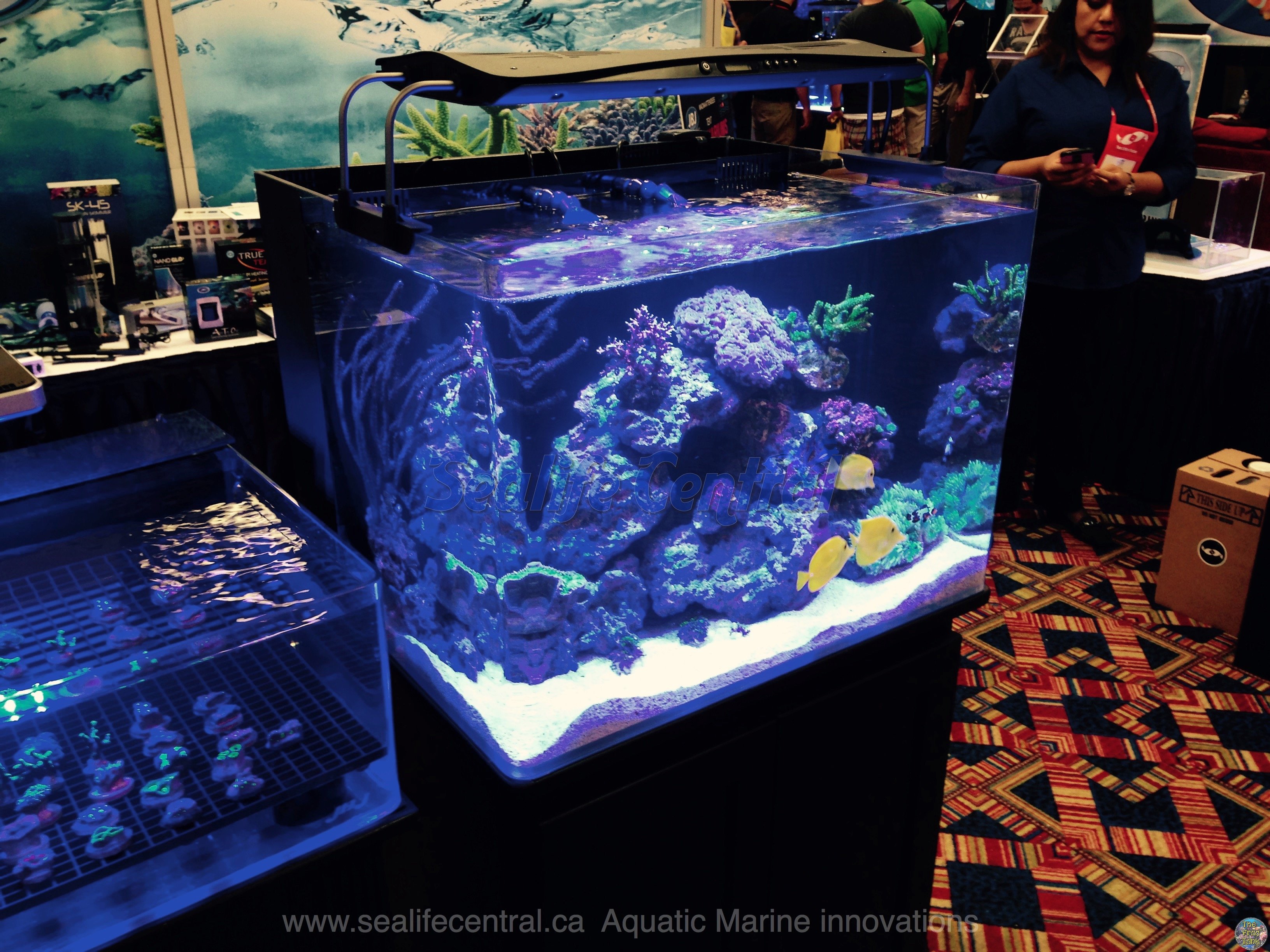 IMG_5148 (copy).jpg