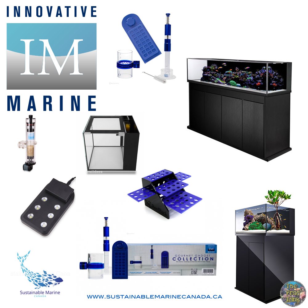 innovative marine.jpg