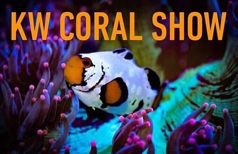 kw coral shows.jpg