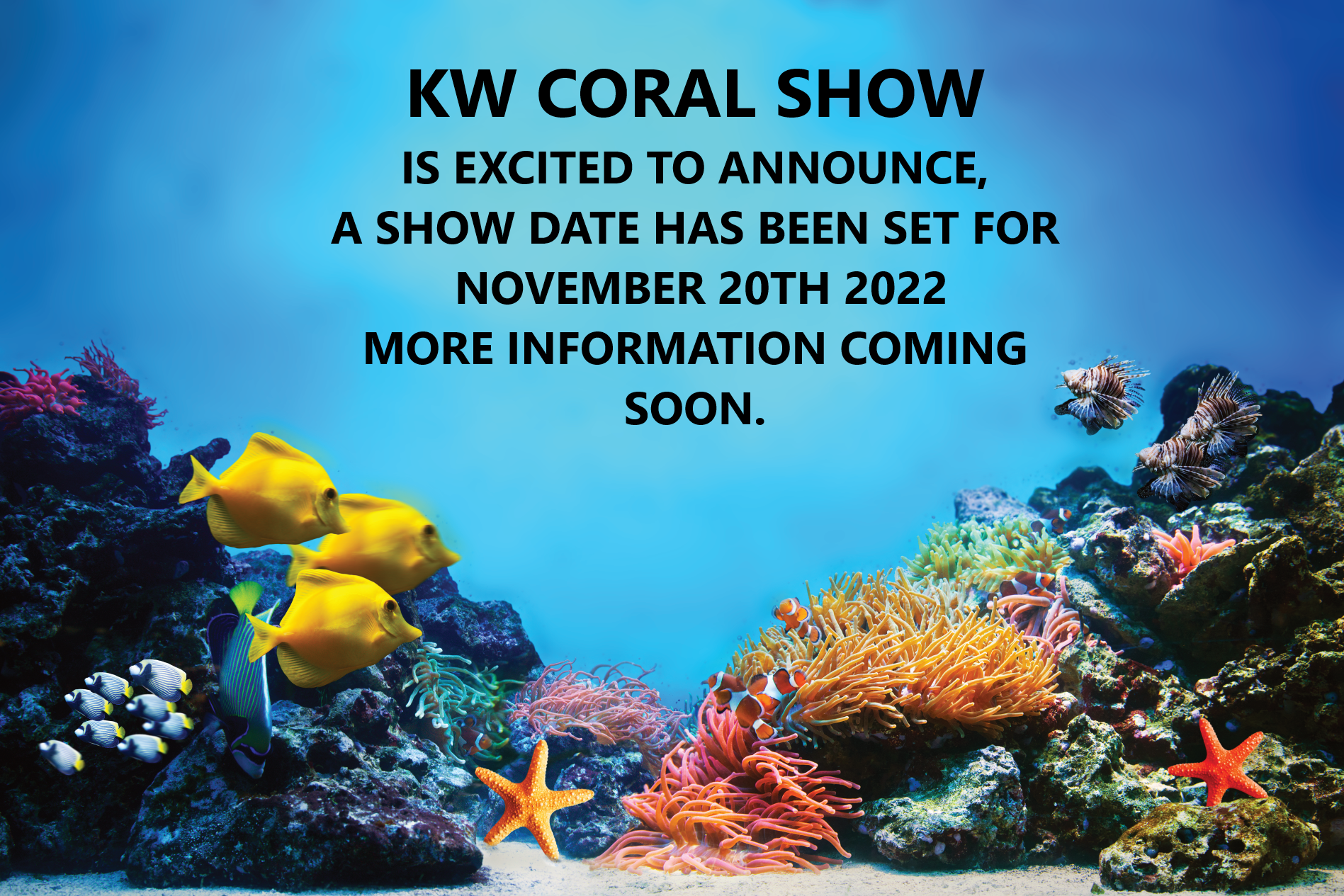 KW CORALSHOW FIRST POST 2022.png