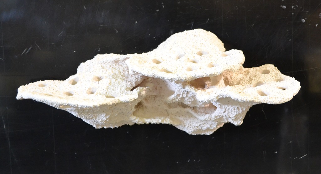 Magnetic Frag Shelf.jpg