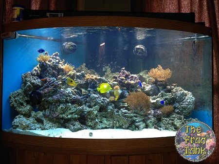 new tank.jpg