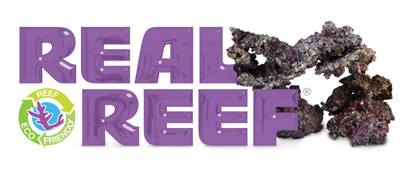real-reef-logo-big.png