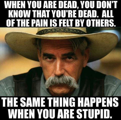 stupid.jpg