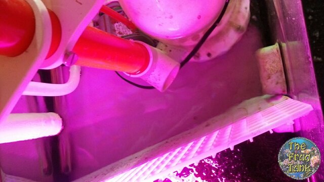 sump.jpg