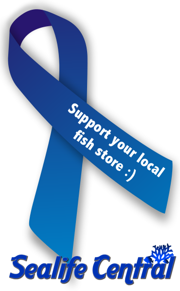 support.png