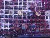 20140720_183029.jpg