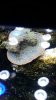 20150124_142655.jpg