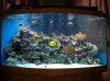 new tank.jpg