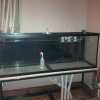 IMG_20161118_180931.jpg