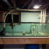 IMG_20161118_181021.jpg