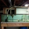 IMG_20161118_181030.jpg