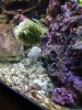 IMG_0006.JPG